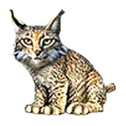 LynxRu