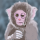   Drunkie.Monkey