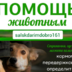 user5499039