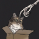 ������ ������������ shiivva