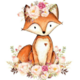 ������ ������������ CozyCherryFox