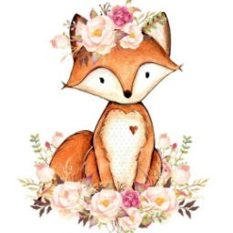 CozyCherryFox