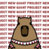 NewGiantProject