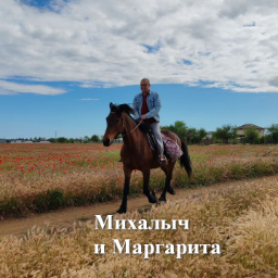 YanSev