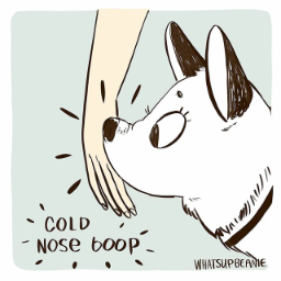 Boop перевод. Boop nose. Boop нос. Boop собаке. Boop котик.