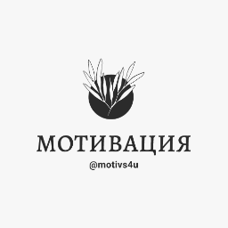 motivs4u