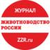 zzr.ru