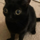 ������ ������������ BlackGif2