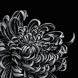 GossamerArt