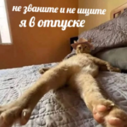 Danil56636