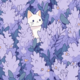 ������ ������������ almondcat