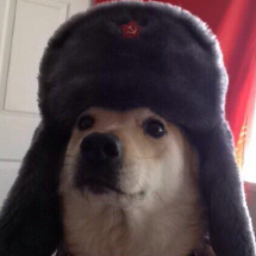 Yuri.DN