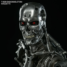 T.800