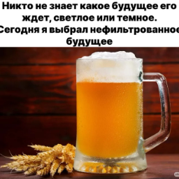 skifilitik23