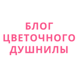 dushniyflorist
