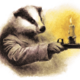   MrBadger