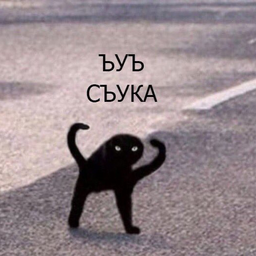 SsursS