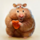 Аватар пользователя BattlHamster