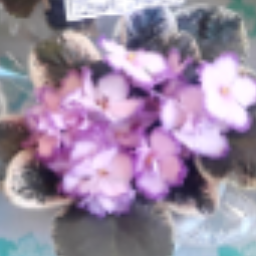 user6311438