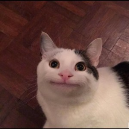 user6323027
