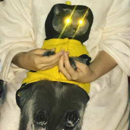 HyggeBoss