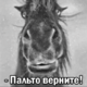 ������ ������������ MaminaKotletka