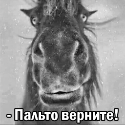 MaminaKotletka