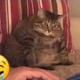 ����� ����� ������ ���� �����������