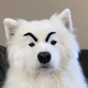 ������ ������������ Ofthedog