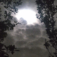 ������ ������������ Wolfsschanze12
