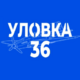 Аватар пользователя Ershov