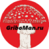Griboman1