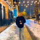 ������ ������������ sashatexhnik