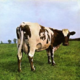 Аватар пользователя darksideofthemoo