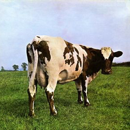 darksideofthemoo