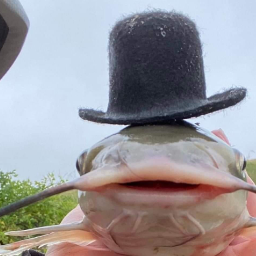 Finsup