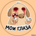user6723179