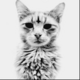 ������ ������������ Miwan9I