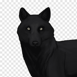 BlackKoyote