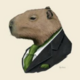 Аватар пользователя Capybara1907