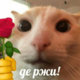 ������ ������������ Pavel.Serg