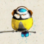 SouthTitmouse