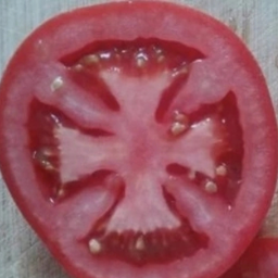 PomidorkaVSalate