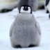 SmartPeguin