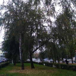 user7003161