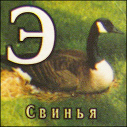 SluchainoZashla