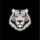 ������ ������������ Pantigr