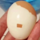 ������ ������������ rodi132