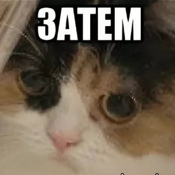 greatkat