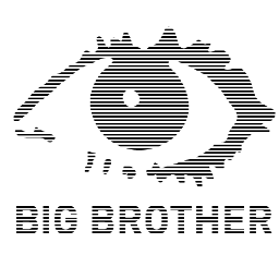 Bigbrother5871